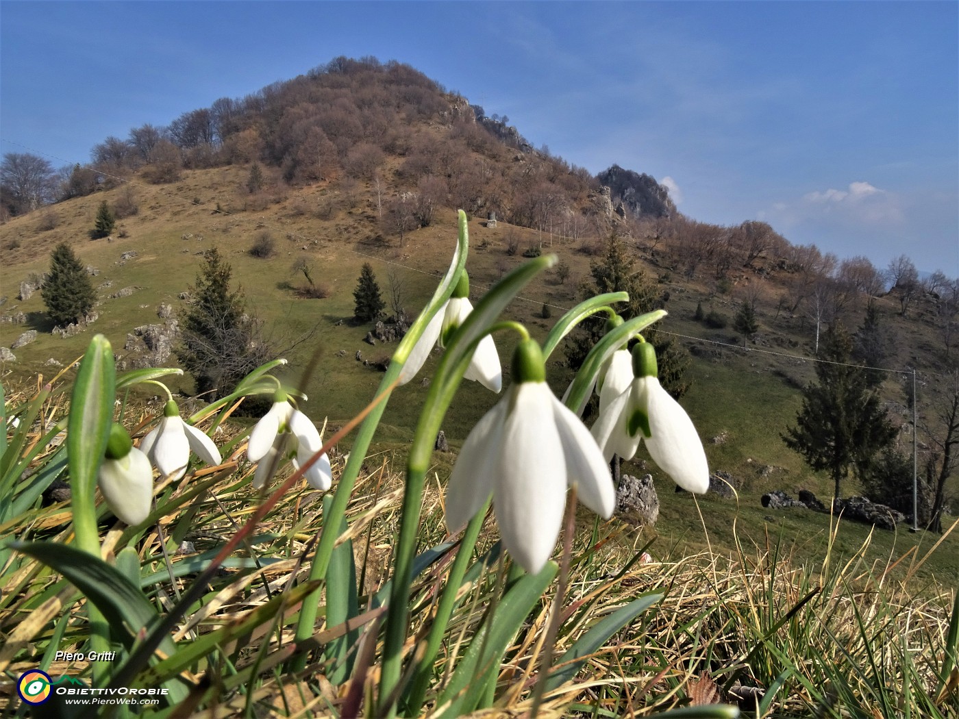 53  Galanthus nivalis (Bucanevi) con vista sul Monte Zucco.JPG